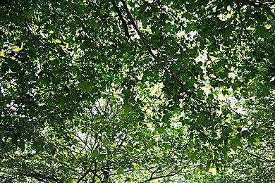 《恩诺提利亚：终曲》实机预告 8月21日发售