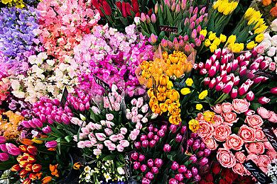 恐怖新作《Jorogumo络新妇》发售 面对蜘蛛精玩家吓尿