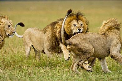 《魔兽世界》2024年路线图公布 新资料片档期和大灾变怀旧确定