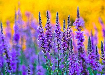 开放世界坦克探索肉鸽《Tankhead》现已登陆Epic商城